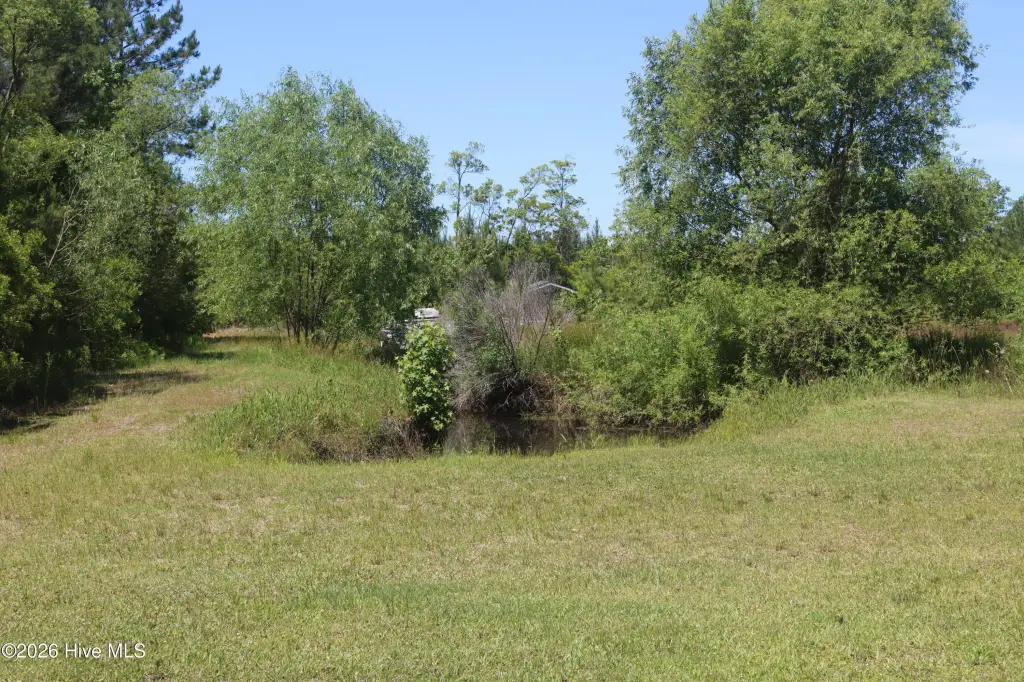 Picture 7