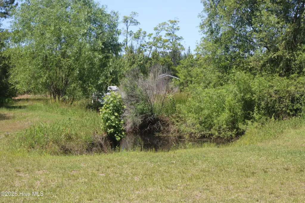 Picture 6