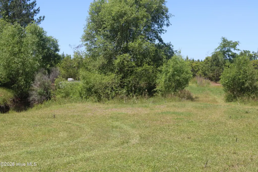 Picture 8