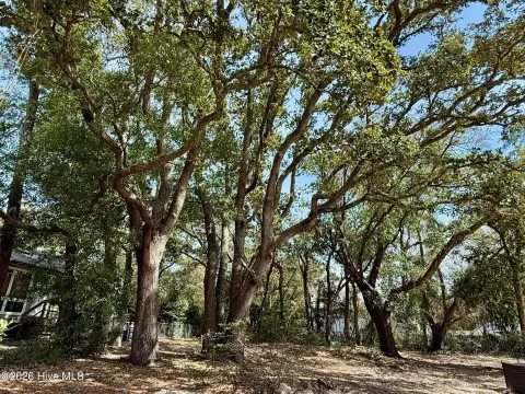 Oak Island Vacant Lot