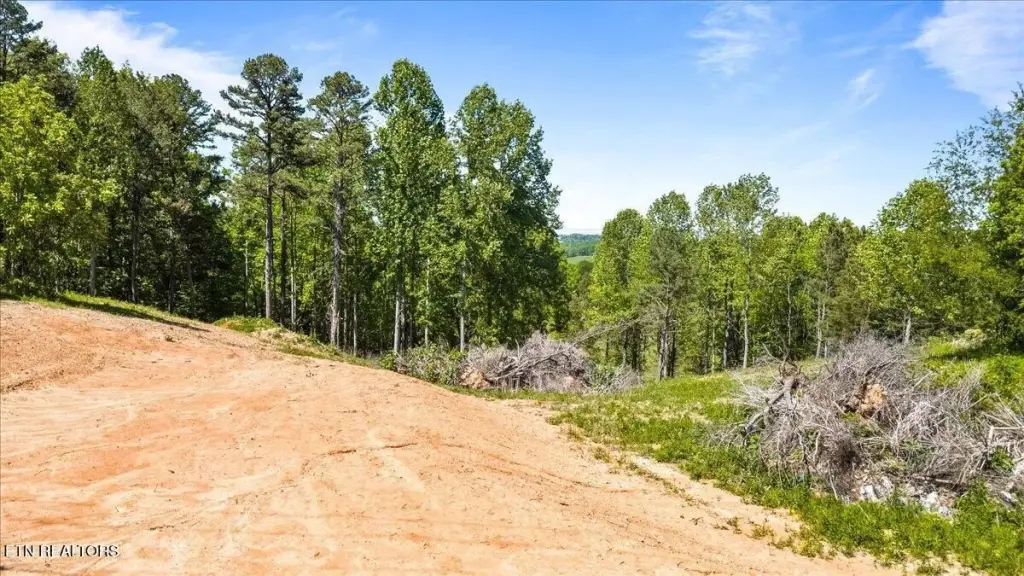 Picture 6