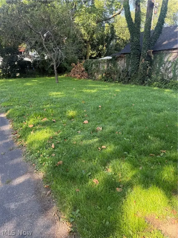 Picture 23