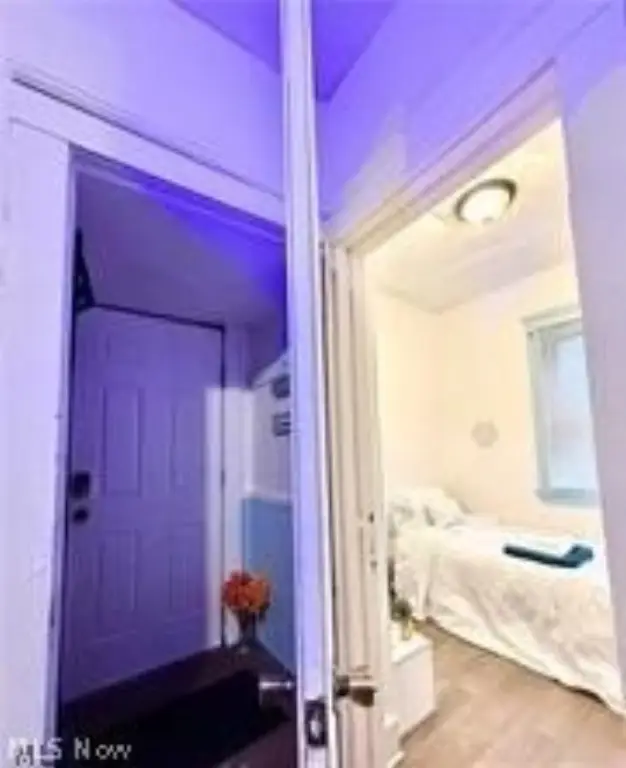 Picture 8