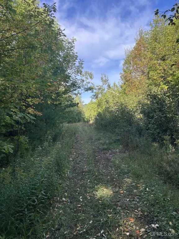 Picture 16