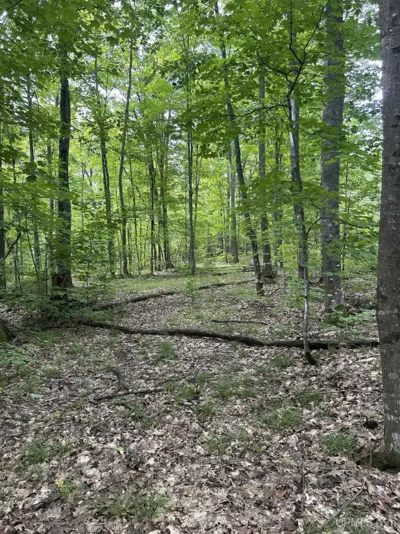 Picture 19