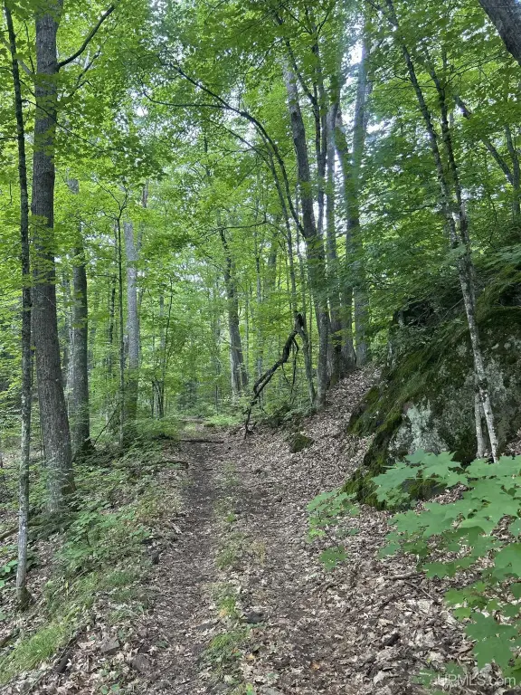 Picture 17