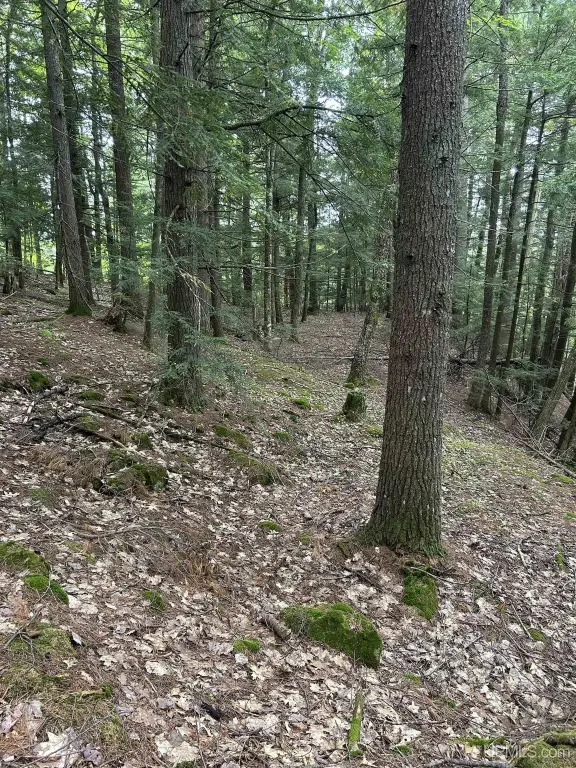 Picture 22