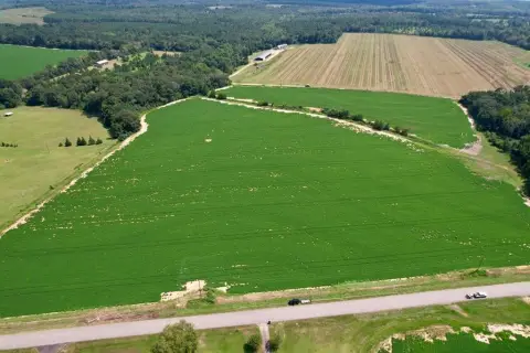 Residential Land in Wicksburg School