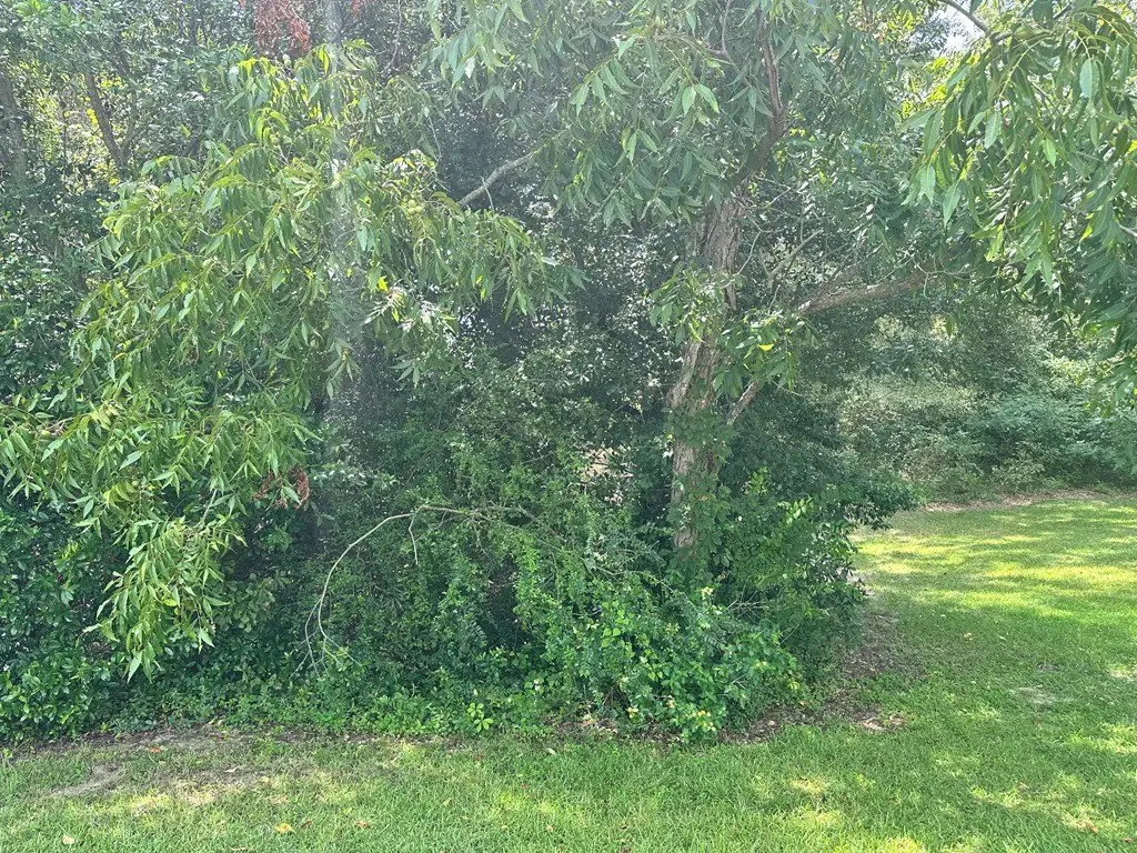 Picture 3