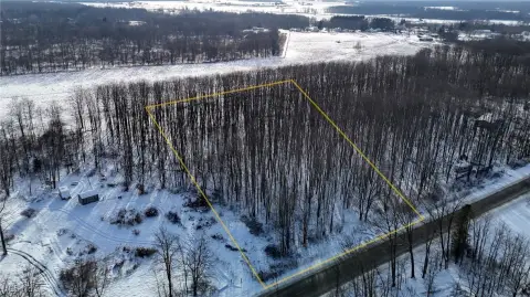 Wooded Homesite in Dorset, Ohio