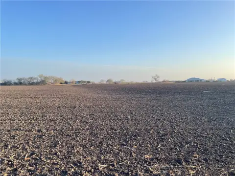 Cleared Land in St. Paul