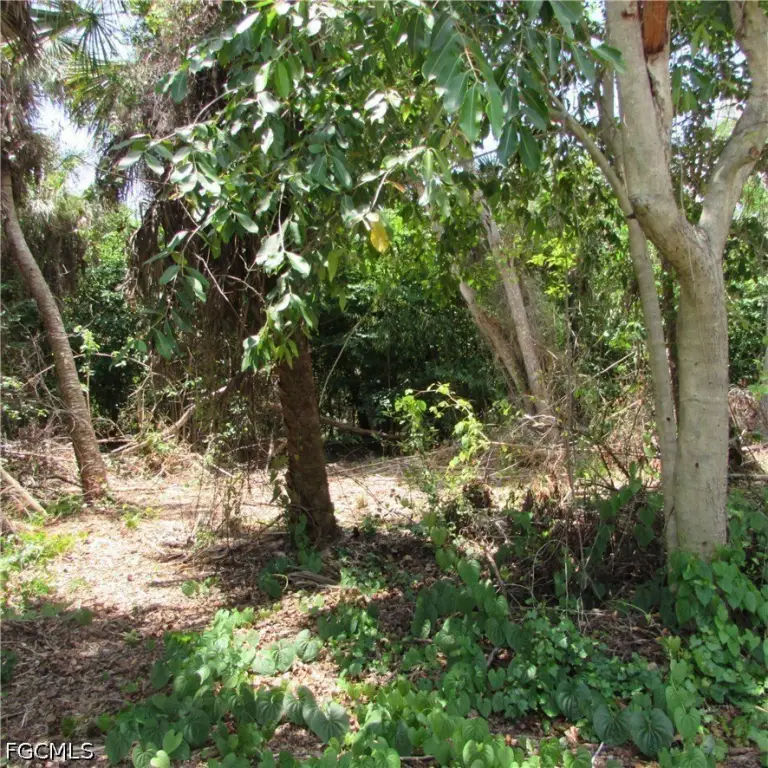Picture 17