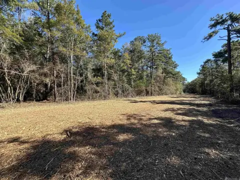 5.5 Acre Wooded Homesite