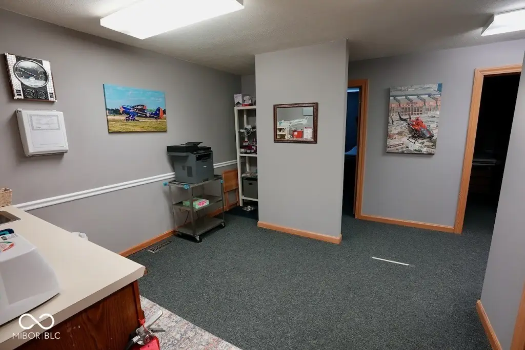 Picture 6