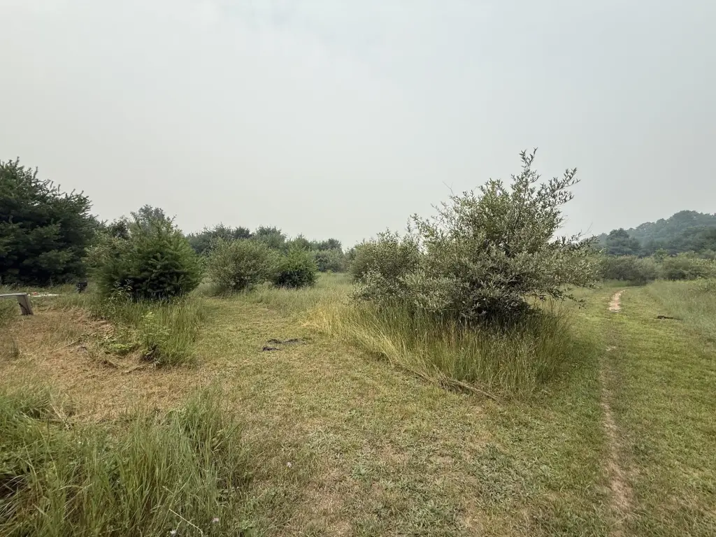 Picture 4