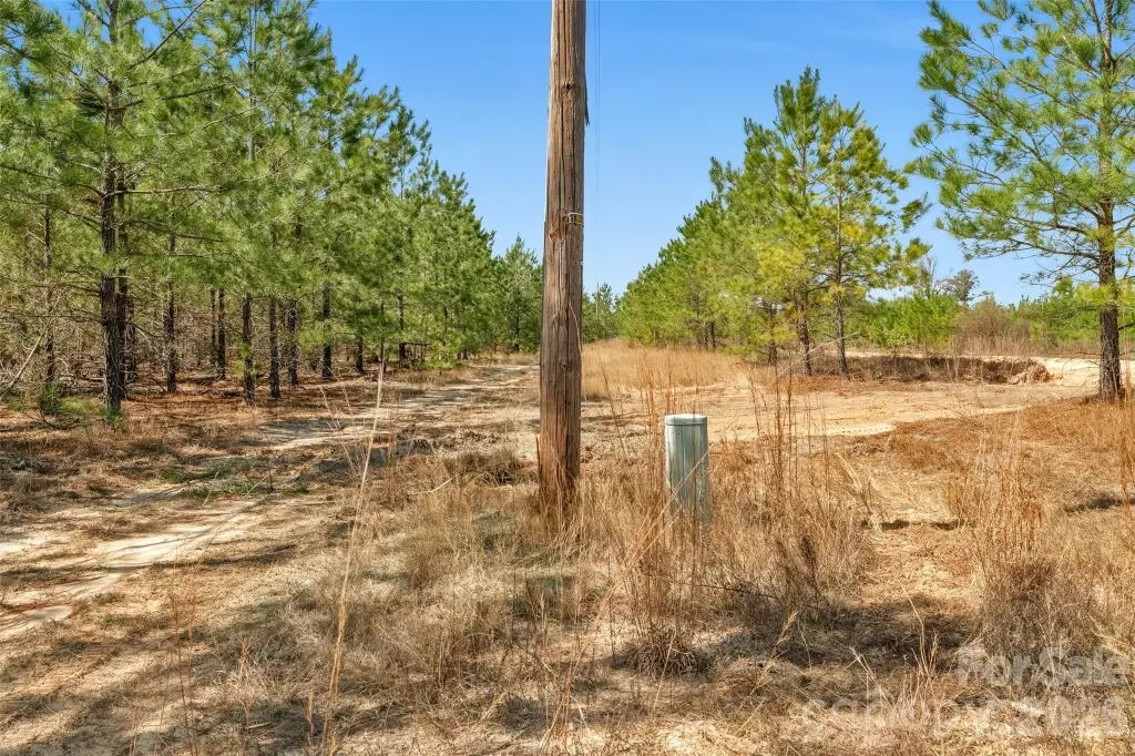 Picture 15