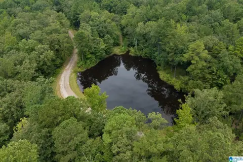 Bessemer Acreage with Creek Access