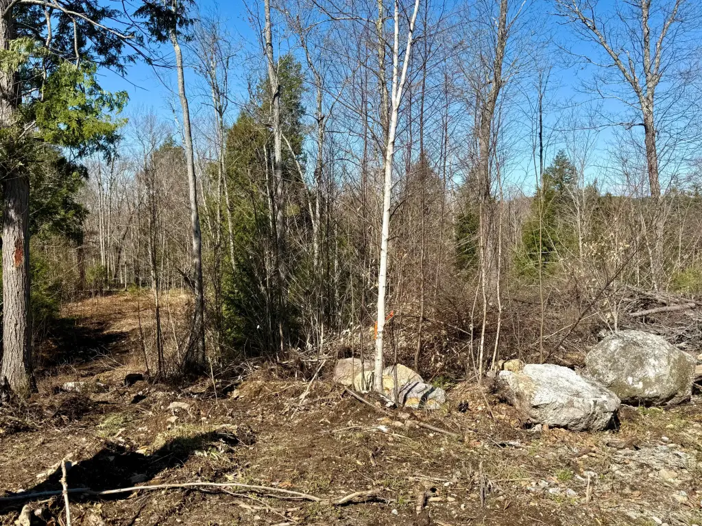 Picture 5