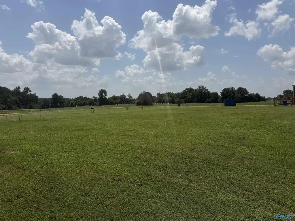 Picture 20