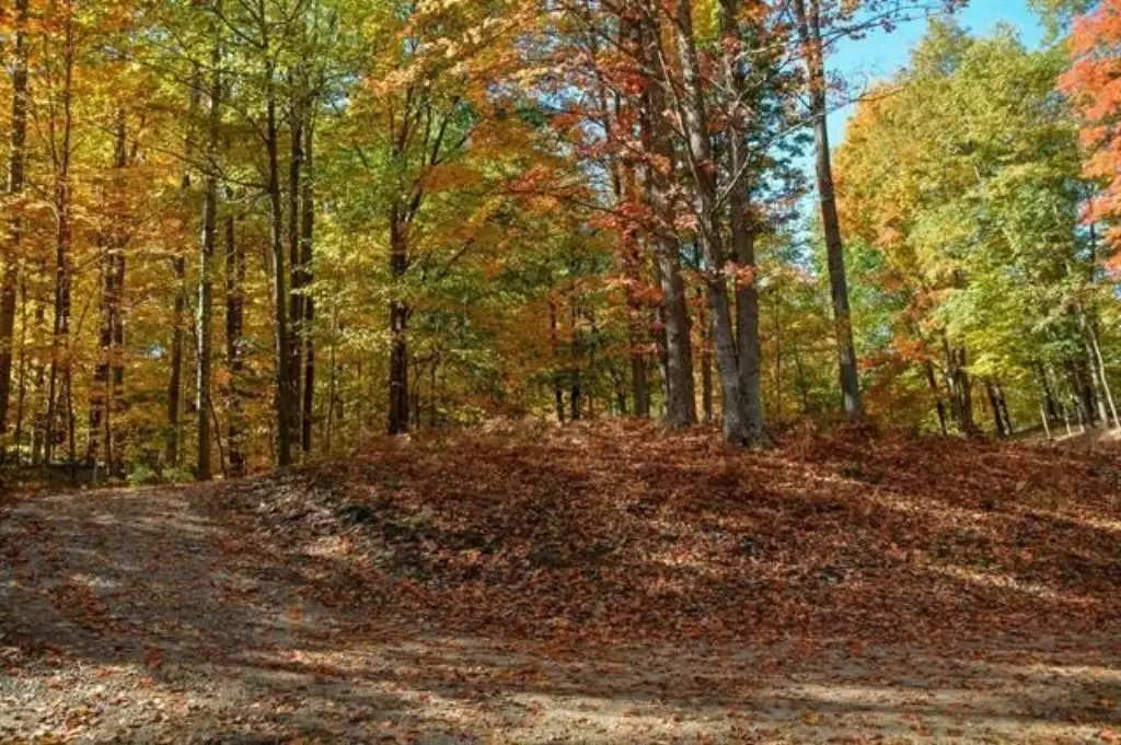 Picture 15