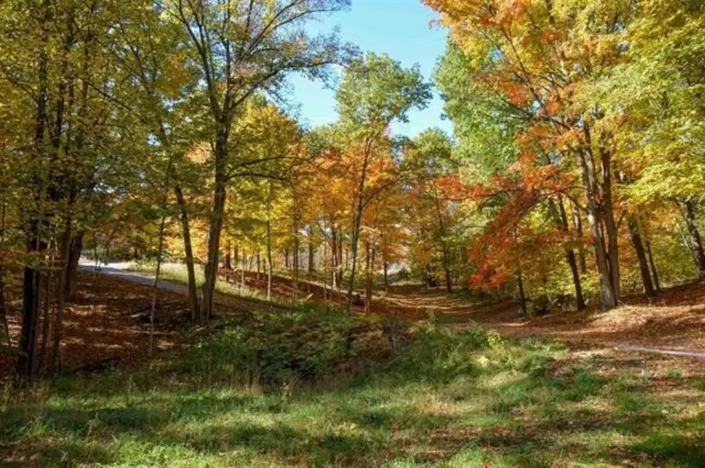 Picture 18