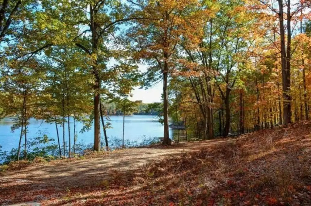 Picture 7