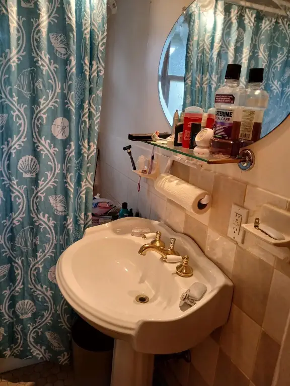 Picture 7