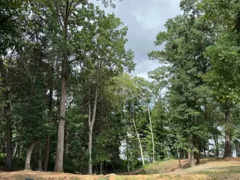 Waterfront Land on Gantt Lake