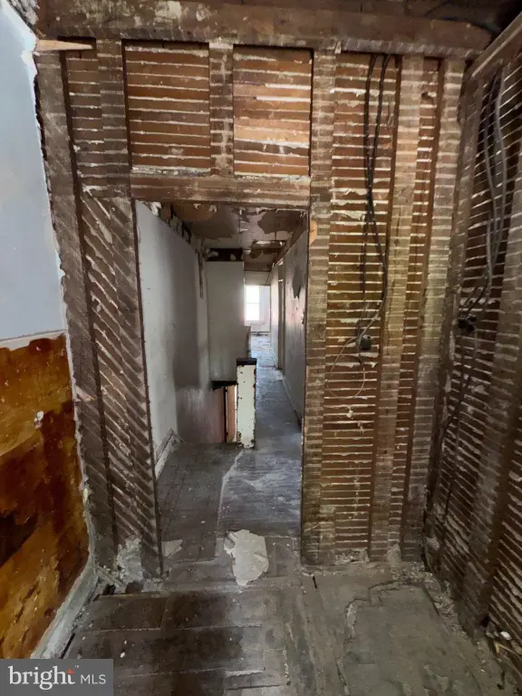 Picture 41