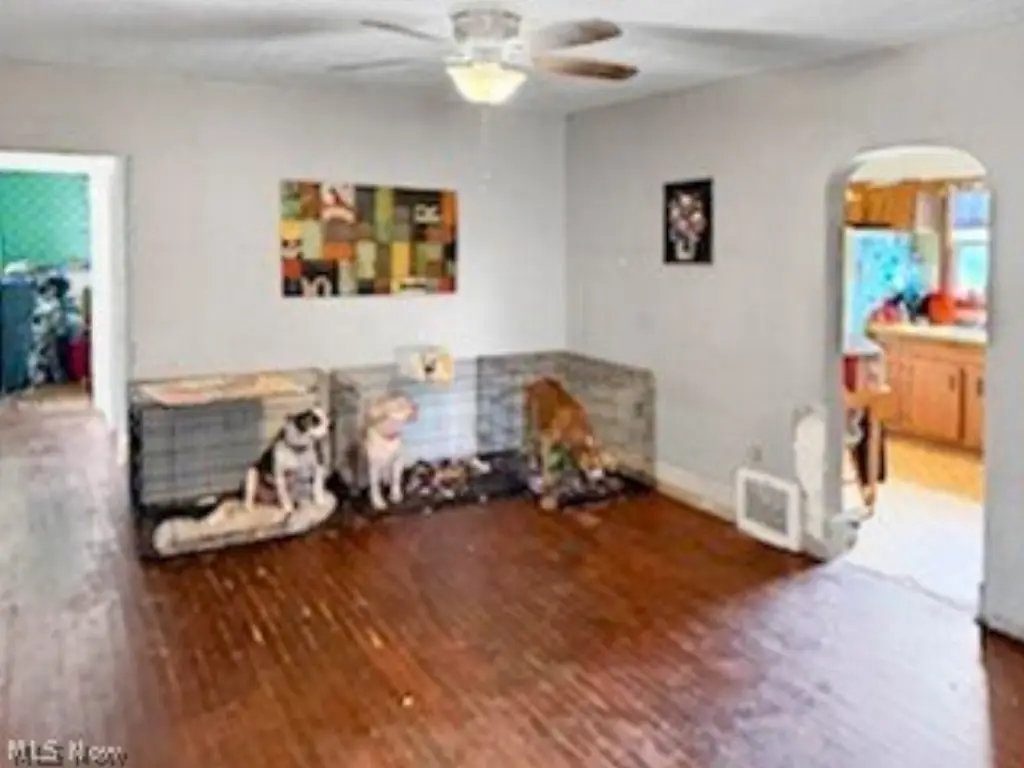 Picture 8