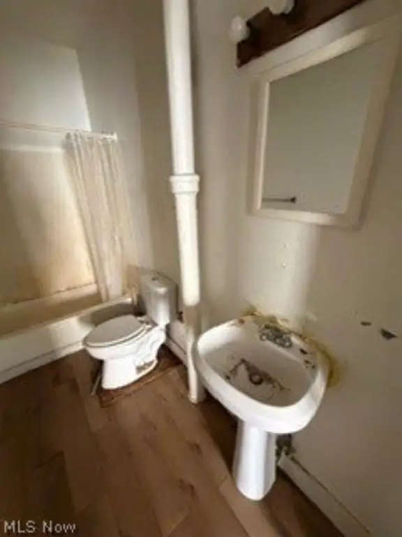 Picture 14