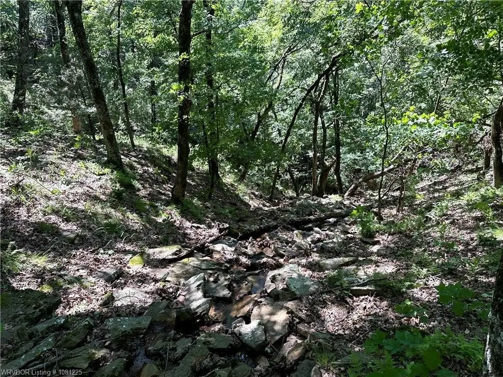 Picture 19