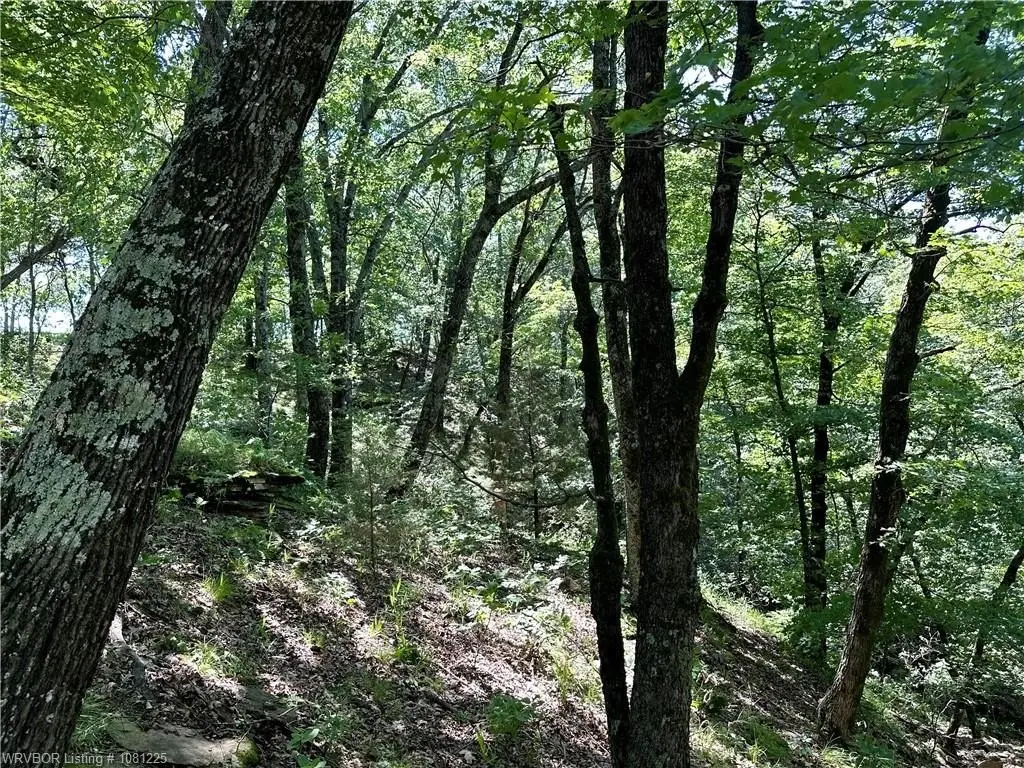 Picture 20