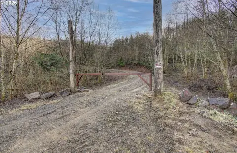 Private Forest Land with Views