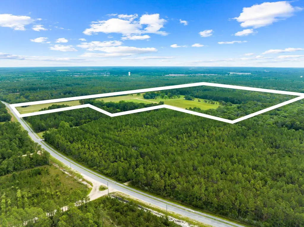 Picture 10