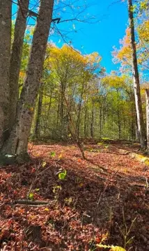 Secluded Wooded Land Near State Land