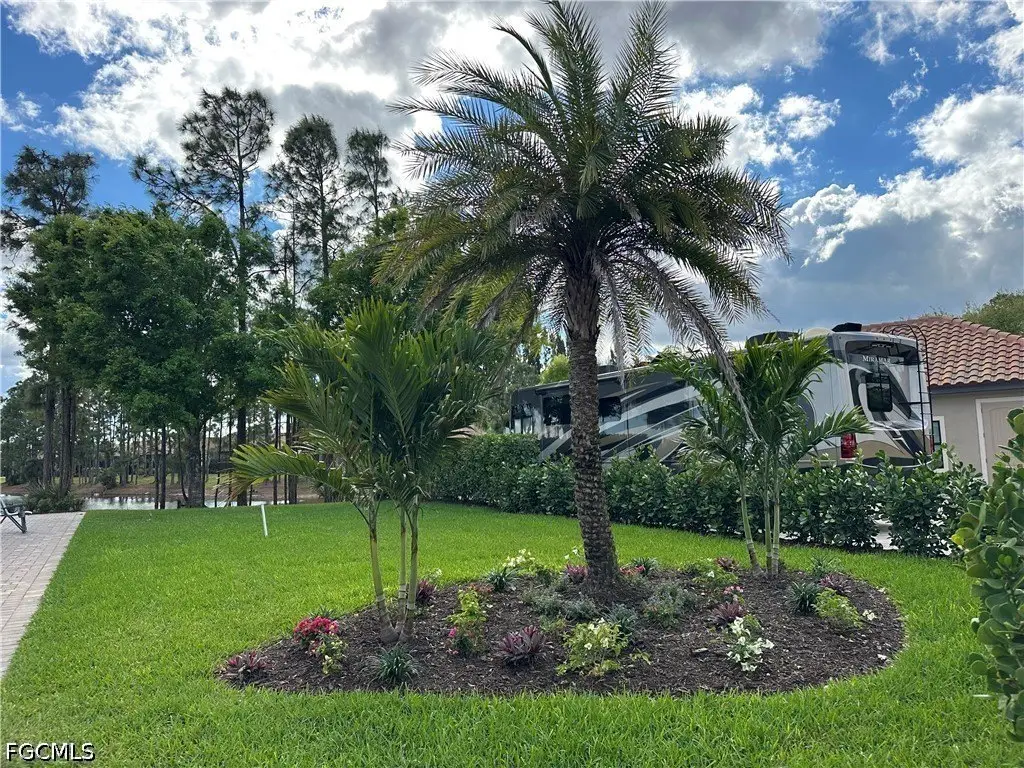 Picture 6