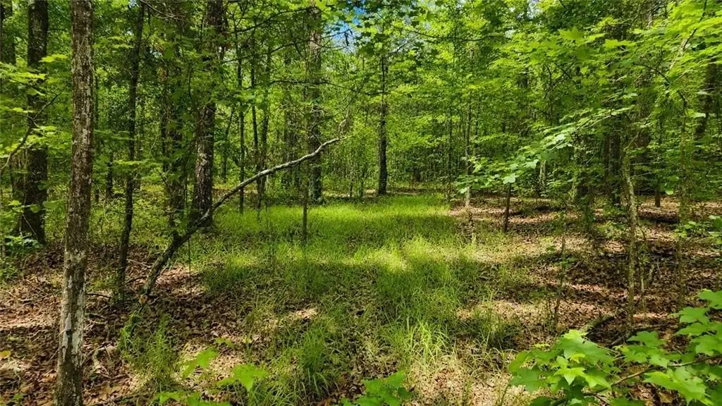 Picture 17