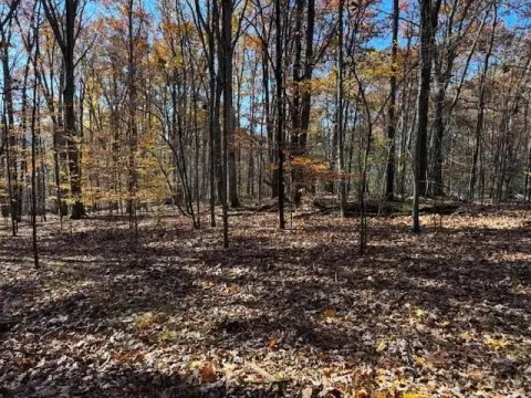 Stevensville Land for Recreation/Hunting