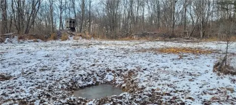 Secluded Wooded Acreage with Cabin