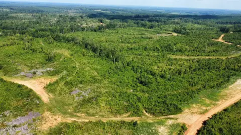 Rolling Hunting Land with Hardwood