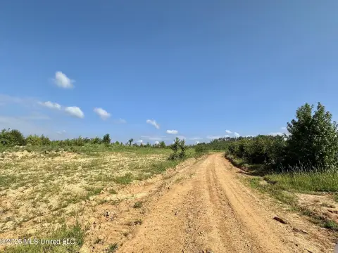 Hunting Land with Potential Sites