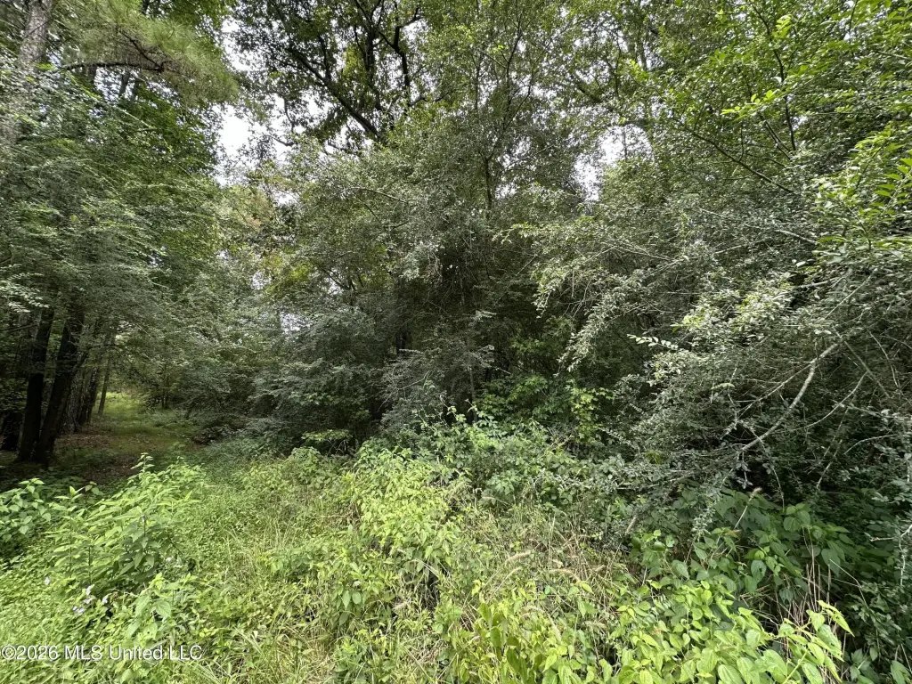 Picture 28