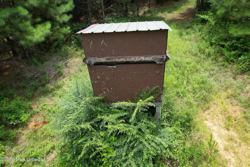 Picture 8