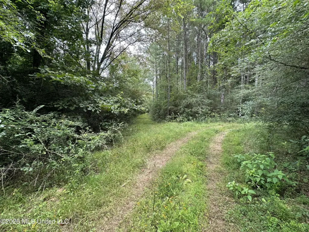 Picture 27