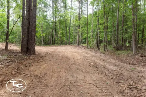 Turnkey Hunting and Recreational Land