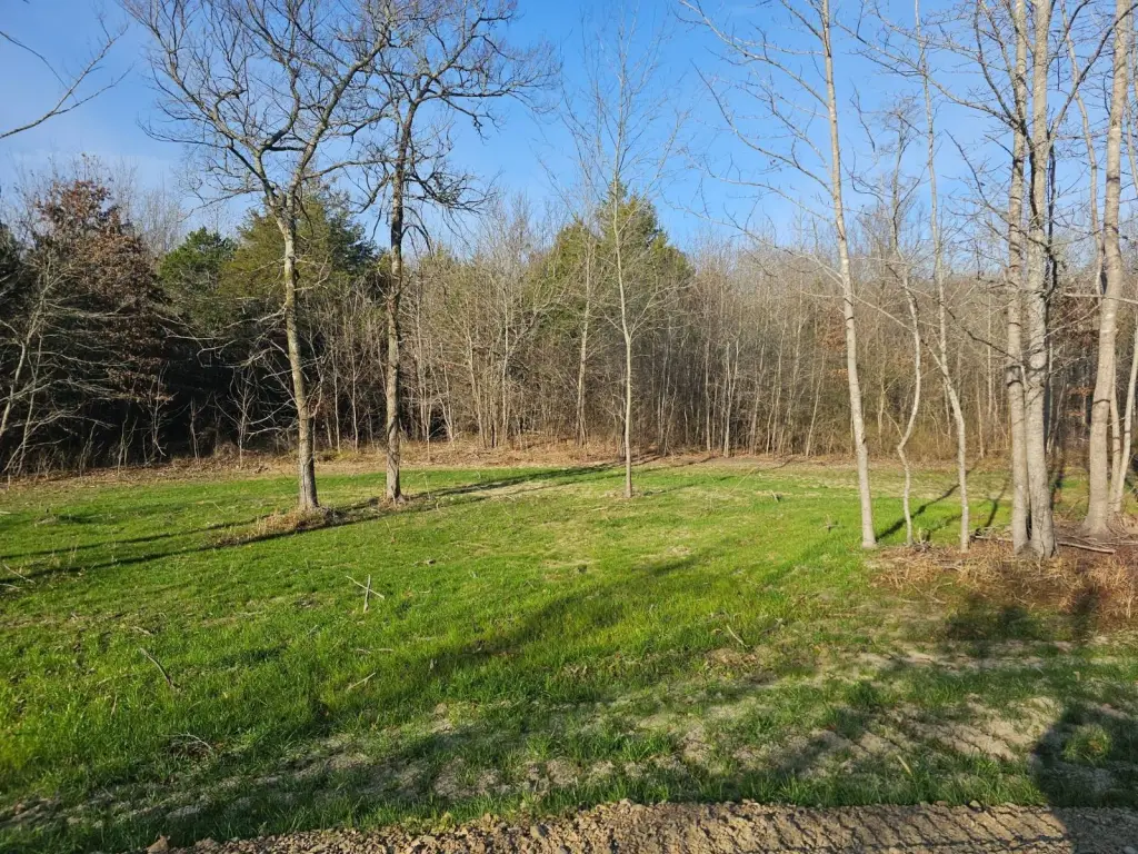 Picture 4