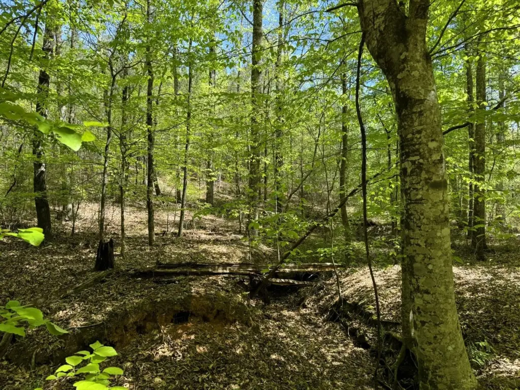 Picture 6