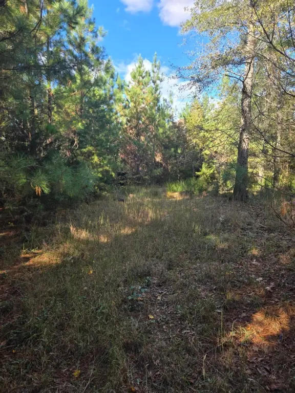 Picture 25