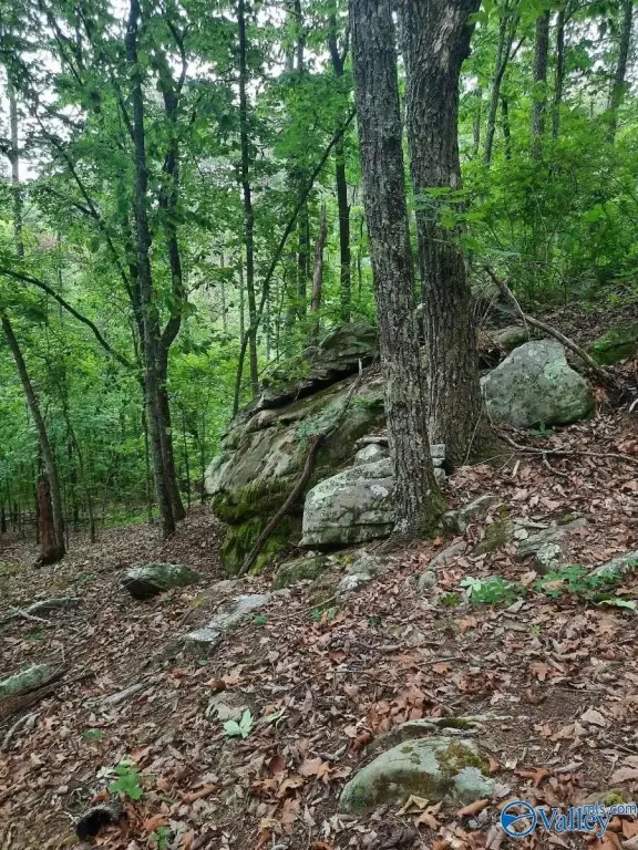 Picture 13